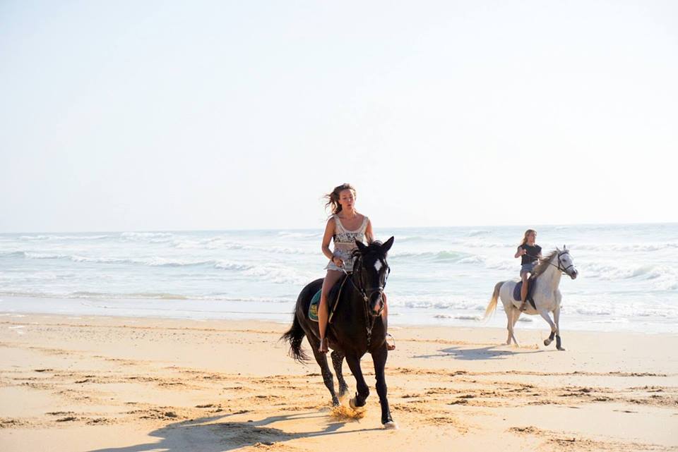 Horse riding on the beach in Figueira da Foz Portugal.